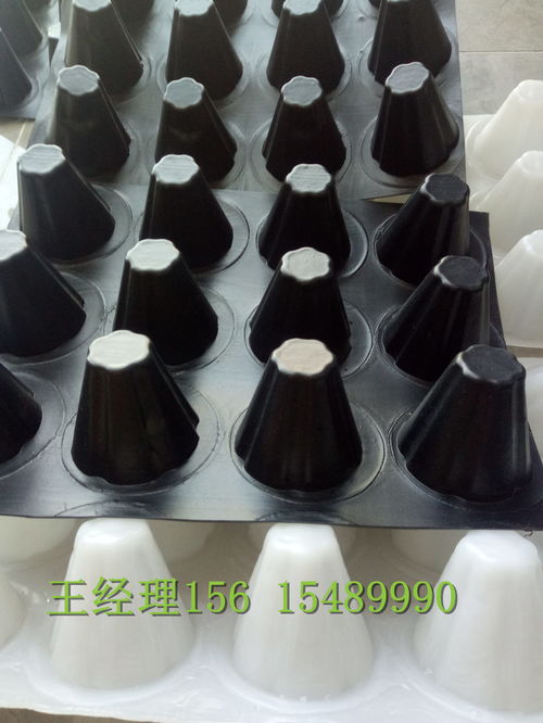 瑞金H20排水板 創(chuàng)鴻品質(zhì)，構(gòu)筑堅(jiān)實(shí)防潮基石